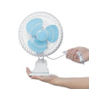 BIG FAN