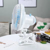 BIG FAN