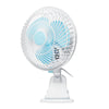 BIG FAN